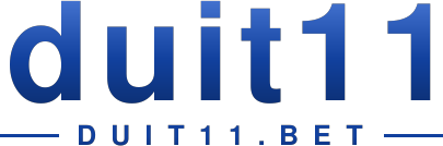 duit11 logo